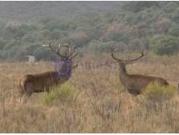 Casa chalet en Venta en Calzadilla