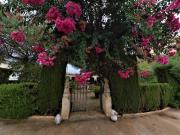 Finca rústica en Venta en Campo Alto Club de Campo