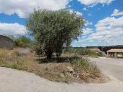 Finca Rústica en Venta en Canals, Valencia