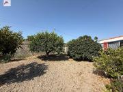Finca rústica en Venta en Carretera de Sanlúcar Sudamérica