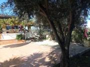 Finca rústica en Venta en Cañadas de San Pedro