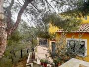 Finca rústica en Venta en Cañadas de San Pedro