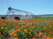 Casa chalet en Venta en Centro