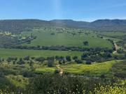 Finca rústica en Venta en Centro Plaza Mayor