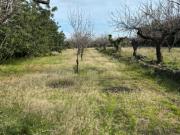 Finca Rústica en Venta en Cervera del Maestrat, Castellón