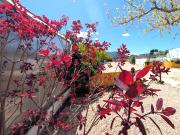 Finca rústica en Venta en Cortes Huertas