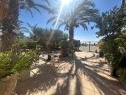 Finca rústica en Venta en Crevillent