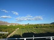 Finca rústica en Venta en Desamparados Hurchillo Torremendo