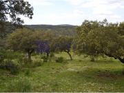 Casa chalet en Venta en Don Benito