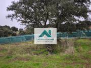 Finca rústica en Venta en El Cantizal