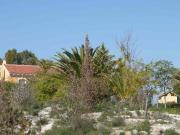 Finca rústica en Venta en El Fenazar Campotéjar