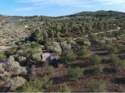 Finca rustica en Venta en El Perelló, Tarragona