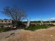 Finca rústica en Venta en El Raal