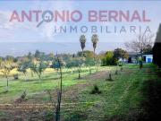 Finca rústica en Venta en El Rocío La Milagrosa