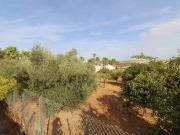 Finca rústica en Venta en El Rocío La Milagrosa