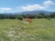 Finca rustica en Venta en Estación de Cártama, Málaga