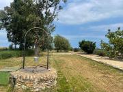 Finca rústica en Venta en Eucaliptus Poble Nou del Delta