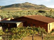 Finca rústica en Venta en Fuente el Fresno