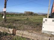 FINCA RUSTICA EN VENTA EN FUENTESNUEVAS