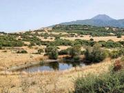 Finca rústica en Venta en Gaucín