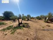 Finca rústica en Venta en Gerena