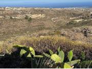 Finca rustica en Venta en Granadilla de Abona, Santa...