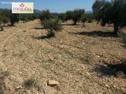 Finca rustica en Venta en Huertas de Villena, Alicante