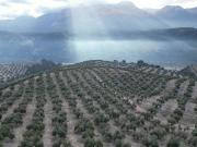 Finca rústica en Venta en Iznalloz