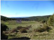 Casa chalet en Venta en Jaraicejo