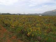 Finca rustica en Venta en Javea Xabia, Alicante