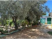 Finca rustica en Venta en Jerez de la Frontera, Cádiz