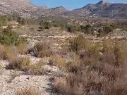 Finca rústica en Venta en Jijona / Xixona