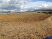 Finca rústica en Venta en Jimena de la Frontera