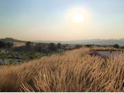 Finca rustica en Venta en Jumilla, Murcia