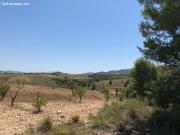 Finca rustica en Venta en Jumilla, Murcia