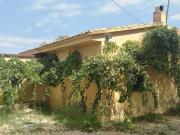 Finca rústica en Venta en Juzgados Plaza de Toros