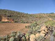 Finca Rústica en Venta en La Cisnera Arico, S. C. Tenerife