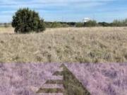 Finca rústica en Venta en La Dehesa El Pinar