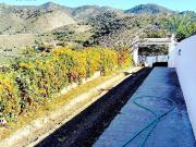 Finca rústica en Venta en La Herradura centro