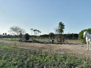 Finca rústica en Venta en La Jara