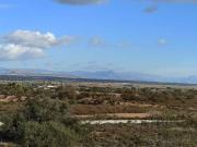 Finca rústica en Venta en La Marina