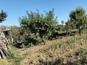 Finca rústica en Venta en Las Lagunas Campano