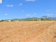 Finca rústica en Venta en Lloseta