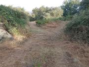 Finca rustica en Venta en Madrigal de la Vera, Cáceres