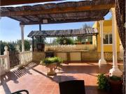 Finca rústica en Venta en Mairena del Alcor