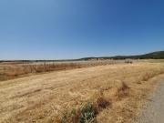 Finca rústica en Venta en Nuevo Hospital