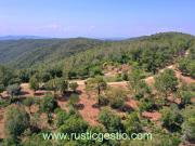 Finca rústica en Venta en Mas Pere Río de Oro