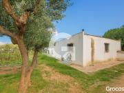 Finca rústica en Venta en Mas Trader Corral d'En...