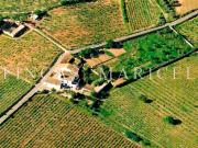 Finca rústica en Venta en Masia Nova Solicrup