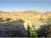 Finca rústica en Venta en Mazarrón Casco Urbano